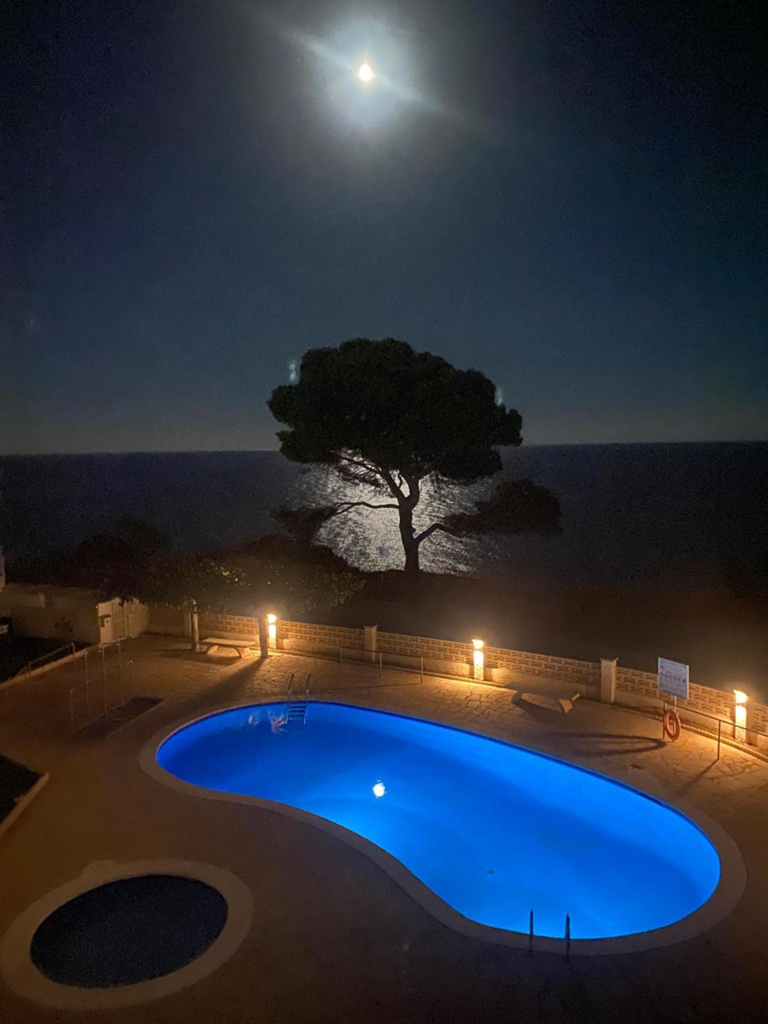 Apartmán La Rosaleda Miami Playa Exteriér fotografie